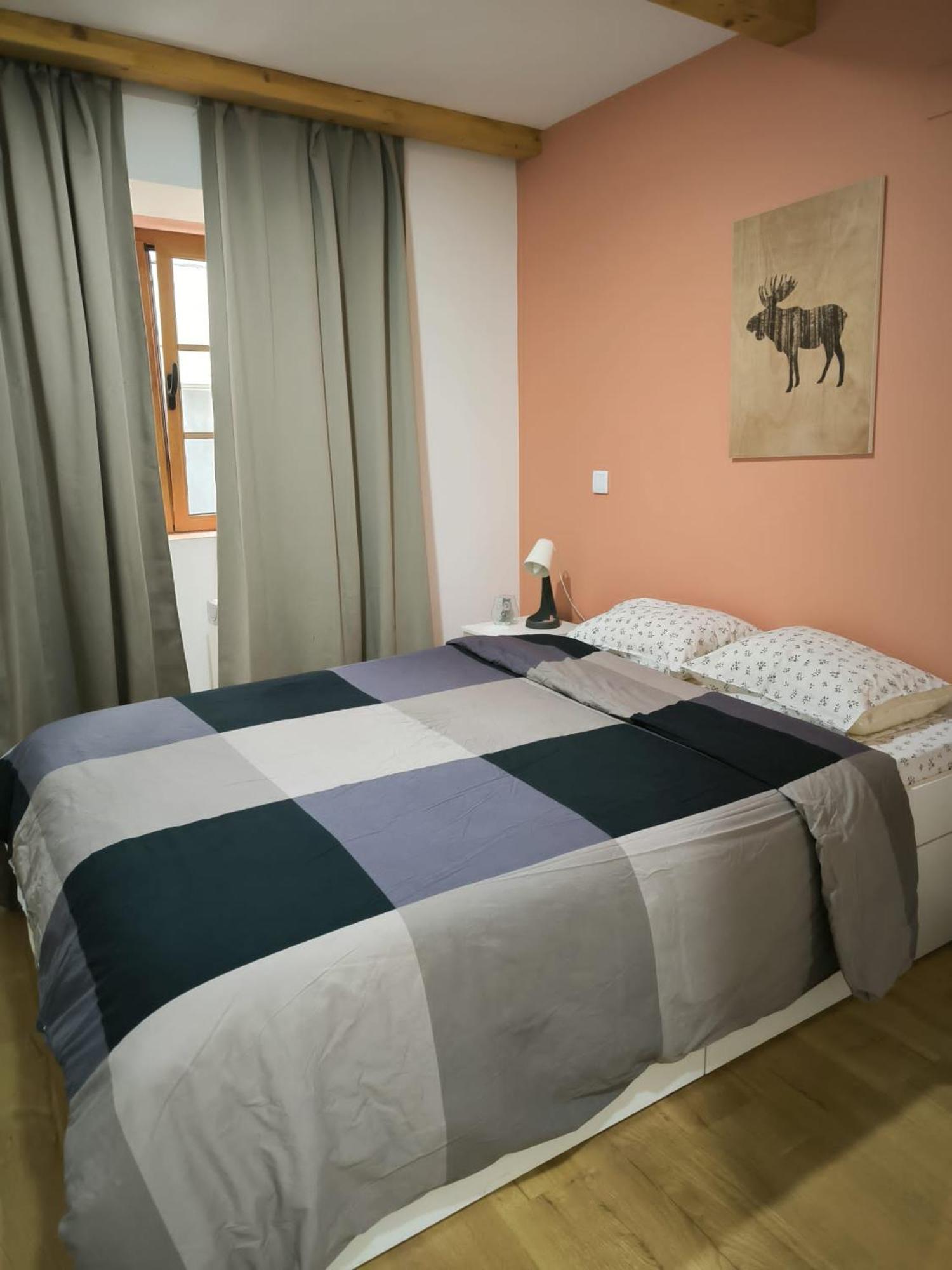 Coimbra Downtown Studio Екстер'єр фото